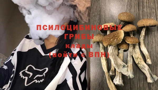 2c-b Армянск