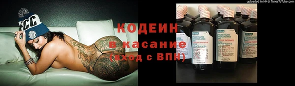 шишки Сосновка