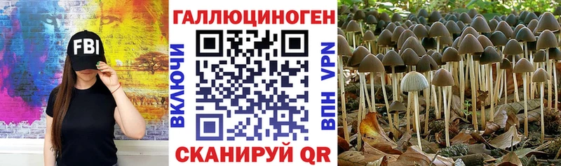 Галлюциногенные грибы ЛСД  закладка  Арск 